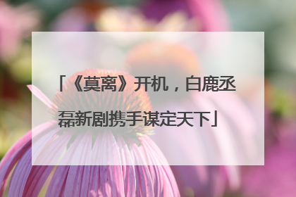 《莫离》开机，白鹿丞磊新剧携手谋定天下