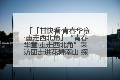「甘快看·青春华章·重走西北角」“青春华章·重走西北角”采访团走进花舞南山 探寻天水乡村振兴之路