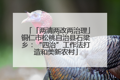 「两清两改两治理」铜仁市松桃自治县石梁乡：“四治”工作法打造和美新农村