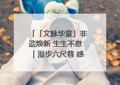 「文脉华章」非遗焕新 生生不息｜漫步六尺巷 感受礼让文化浸润的“巷”往生活