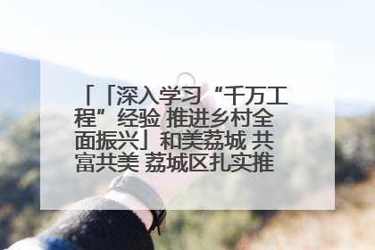 「深入学习“千万工程”经验 推进乡村全面振兴」和美荔城 共富共美 荔城区扎实推进乡村振兴工作
