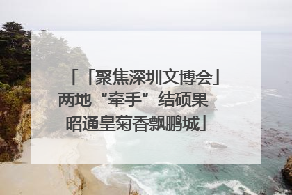 「聚焦深圳文博会」两地“牵手”结硕果 昭通皇菊香飘鹏城