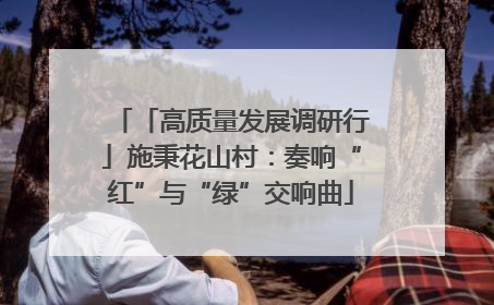 「高质量发展调研行」施秉花山村：奏响“红”与“绿”交响曲
