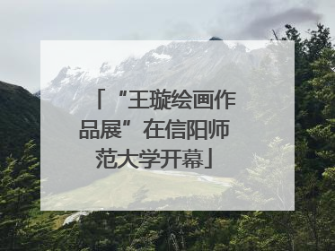 “王璇绘画作品展”在信阳师范大学开幕