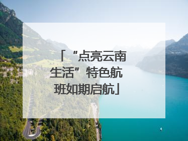 “点亮云南生活”特色航班如期启航