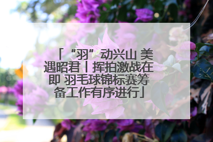 “羽”动兴山 美遇昭君丨挥拍激战在即 羽毛球锦标赛筹备工作有序进行