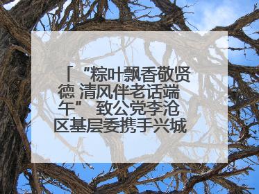 “粽叶飘香敬贤德 清风伴老话端午” 致公党李沧区基层委携手兴城路街道四流北路社区开展端午节主题活动