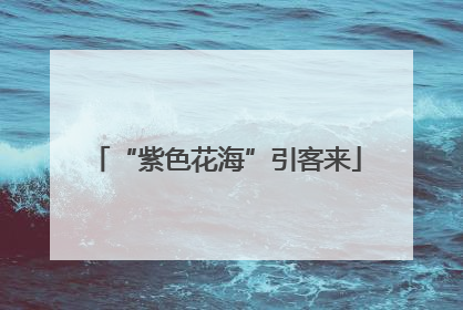 “紫色花海”引客来