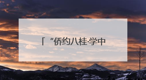 “侨约八桂·学中医 看非遗 谋八桂发展”海外侨商侨领研修班举行
