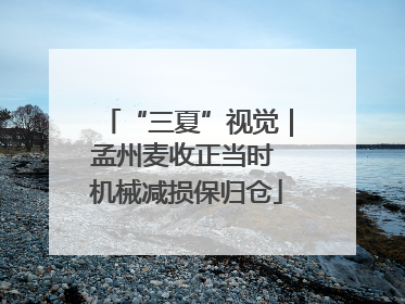 “三夏”视觉｜孟州麦收正当时 机械减损保归仓
