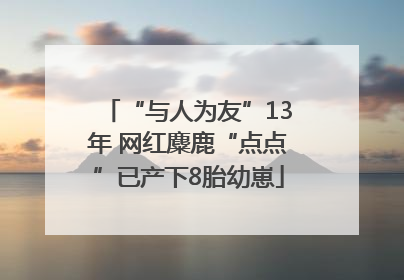 “与人为友”13年 网红麋鹿“点点”已产下8胎幼崽