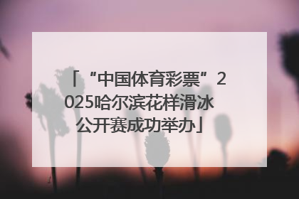“中国体育彩票”2025哈尔滨花样滑冰公开赛成功举办