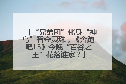 “兄弟团”化身“神鸟”智夺灵珠，《奔跑吧13》今晚“百谷之王”花落谁家？