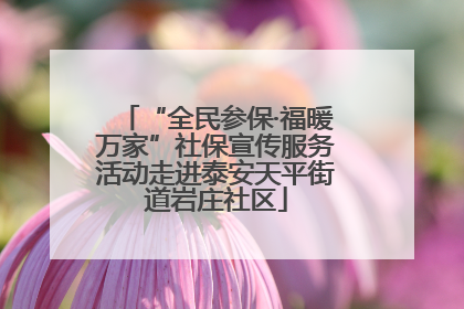 “全民参保·福暖万家”社保宣传服务活动走进泰安天平街道岩庄社区