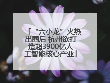 “六小龙”火热出圈后 杭州欲打造超3900亿人工智能核心产业