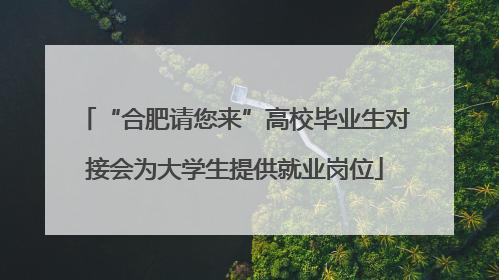 “合肥请您来”高校毕业生对接会为大学生提供就业岗位