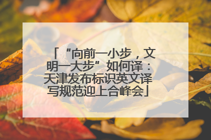 “向前一小步，文明一大步”如何译：天津发布标识英文译写规范迎上合峰会