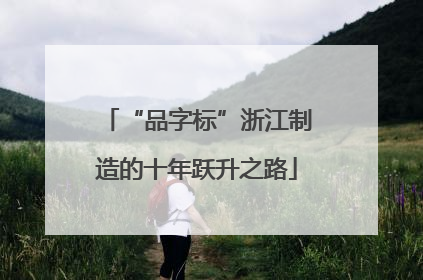 “品字标”浙江制造的十年跃升之路