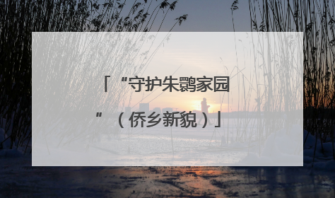 “守护朱鹮家园”（侨乡新貌）