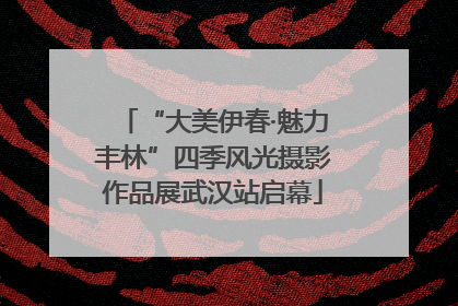 “大美伊春·魅力丰林”四季风光摄影作品展武汉站启幕