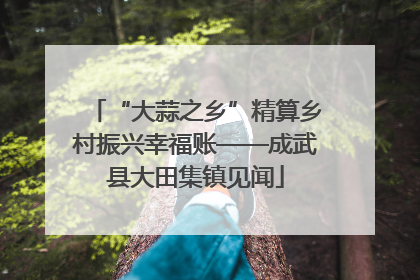 “大蒜之乡”精算乡村振兴幸福账——成武县大田集镇见闻