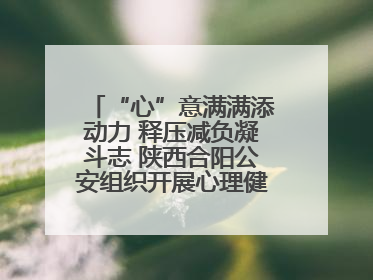“心”意满满添动力 释压减负凝斗志 陕西合阳公安组织开展心理健康团体辅导活动