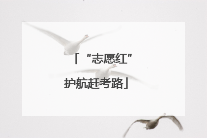 “志愿红”护航赶考路