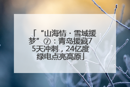 “山海情・雪域援梦”⑦：青岛援藏75天冲刺，24亿度绿电点亮高原
