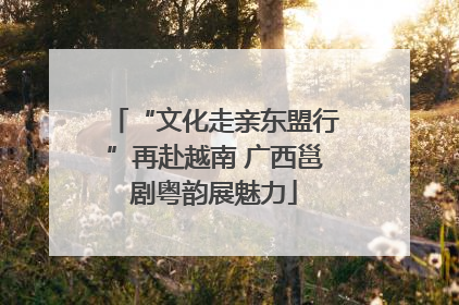 “文化走亲东盟行”再赴越南 广西邕剧粤韵展魅力