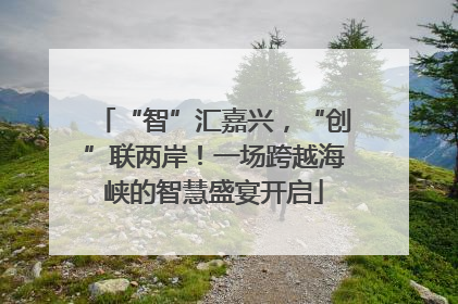 “智”汇嘉兴，“创”联两岸！一场跨越海峡的智慧盛宴开启