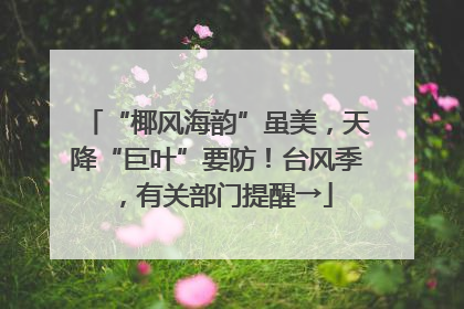 “椰风海韵”虽美，天降“巨叶”要防！台风季，有关部门提醒→