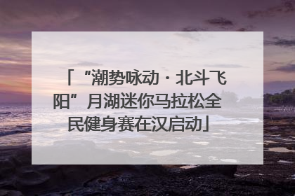 “潮势咏动・北斗飞阳”月湖迷你马拉松全民健身赛在汉启动