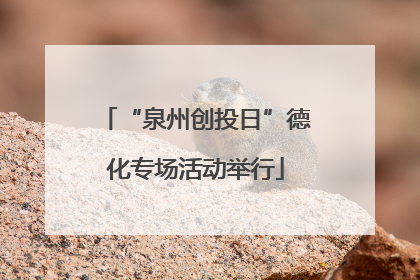 “泉州创投日”德化专场活动举行