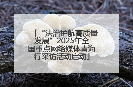 “法治护航高质量发展”2025年全国重点网络媒体青海行采访活动启动