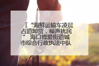 “海鲜运输车凌晨占道卸货，噪声扰民” 海口博爱街道城市综合行政执法中队：将联合交警加强长堤路一带巡逻