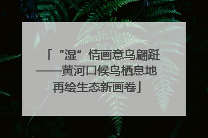 “湿”情画意鸟翩跹——黄河口候鸟栖息地再绘生态新画卷