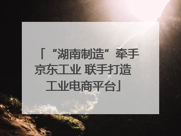 “湖南制造”牵手京东工业 联手打造工业电商平台
