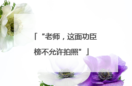 “老师，这面功臣榜不允许拍照”