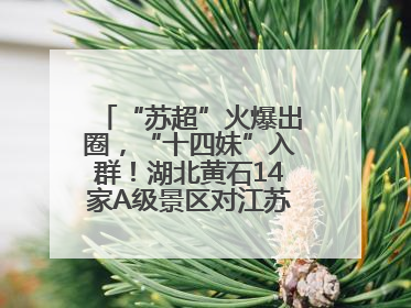 “苏超”火爆出圈，“十四妹”入群！湖北黄石14家A级景区对江苏游客免票