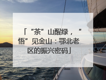 “茶”山醒绿，“悟”见金山：鄂北老区的振兴密码