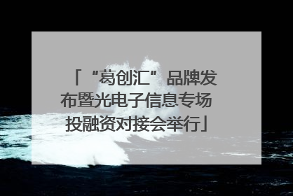 “葛创汇”品牌发布暨光电子信息专场投融资对接会举行