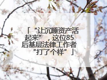 “让沉睡资产活起来”，这位85后基层法律工作者“打了个样”