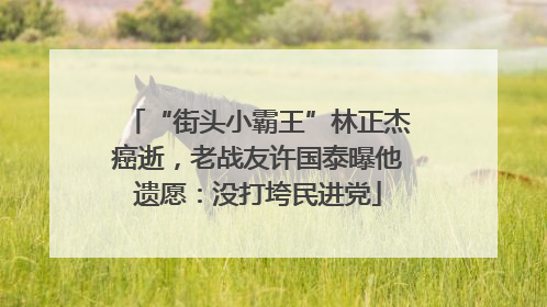 “街头小霸王”林正杰癌逝，老战友许国泰曝他遗愿：没打垮民进党