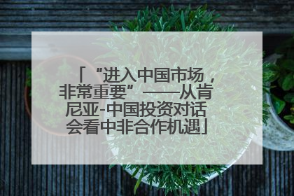 “进入中国市场，非常重要”——从肯尼亚-中国投资对话会看中非合作机遇