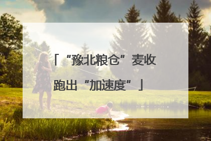 “豫北粮仓”麦收跑出“加速度”