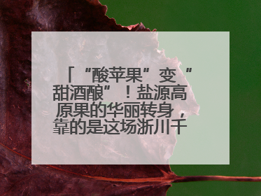 “酸苹果”变“甜酒酿”！盐源高原果的华丽转身，靠的是这场浙川千里“联姻”