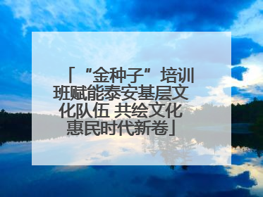 “金种子”培训班赋能泰安基层文化队伍 共绘文化惠民时代新卷