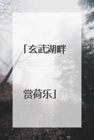 玄武湖畔赏荷乐