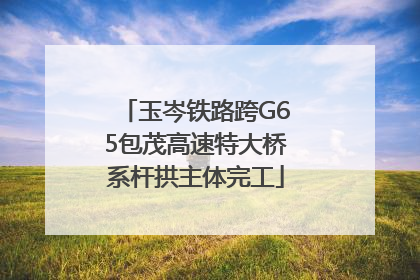 玉岑铁路跨G65包茂高速特大桥系杆拱主体完工