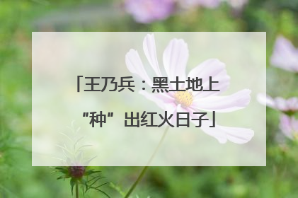 王乃兵：黑土地上“种”出红火日子